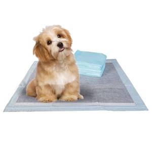 lot 15436 image: BV Charcoal Puppy Pads 100 Count 22x22 - Leak-Proof Pee Pads for Dogs with 6-Layer Absorbent Design & Built-in Attractant - Dog Pad with Charcoal for Odor Control, Perfect for Puppies & Senior Dogs
