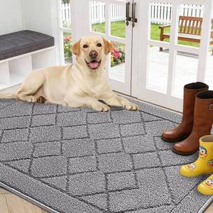 lot 19377 image: REFETONE Indoor Doormat, Front Back Door Mat 32x40 Rubber Backing Non Slip Mats, Absorbent Washable Entrance Doormat for Entryway, Resist Dirt Low-Profile Inside Floor Mat for Muddy Shoes Light Grey