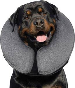 lot 20194 image: MIDOG Dog Cone - Inflatable Soft Donut Collar Alternative for Dogs After Surgery, Protective Recovery Collar Prevents Licking, Comfortable E-Collar Alternative for Small Medium Large Dogs (Gray, XL)