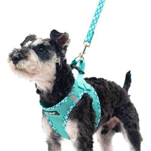 lot 4307 image: PUPTECK Dog Harness and Leash Set for Small Medium Dogs No Pull Step-in Soft Mesh Puppy Cat Vest Harnesses Reflective at Night, Green S