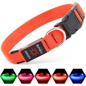 lot 4323 image: Illumifun USB Rechargeable LED Dog Collar, Light Up Dog Collar for Small Dogs, Reflective Adjustable Safety Dog Collar Lights for Night Walking (Orange��, Small)