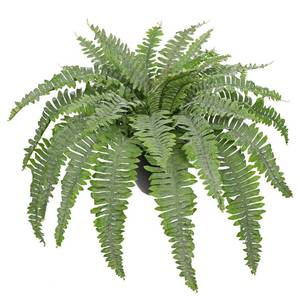 lot 5186 image: Hollyone Artificial Fern Plants in Pot 18.8 Small Artificial Boston Fern 24 Leaves for Outdoors & Indoor Faux Potted Plant Fake Ferns Bush Plant Patio Garden Farmhouse Porch Home Decor Dusty Green