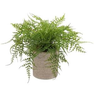 lot 6084 image: Briful Small Fake Plant Potted Plants Artificial Decor Plastic Asparagus Ferns Plant Faux Plants in Pots for Home Living Room Bedroom Desk Shelf Farmhouse Decoration