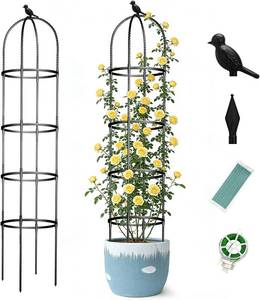 lot 11334 image: Obelisk Trellis for Garden Plants Climbing 6ft Rustproof Metal Pipe with Plastic Coated - Potted Plant Climber Support for Outdoor Indoor Grape Vines Vegetable Fruits Flowers (2PC)