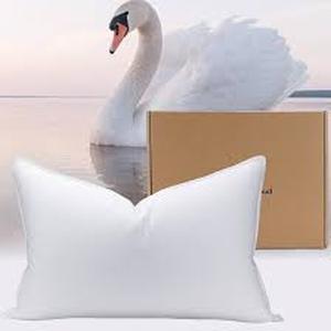 lot 13563 image: PlushHavenCloud Premium Queen White Goose Down Pillow