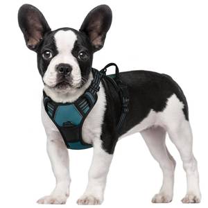 lot 4495 image: rabbitgoo Dog Harness No Pull with 2 Leash Clips, Adjustable Soft Padded, Reflective Oxford No Choke Pet Vest with Easy Control Handle for Small Dogs, Blue Coral, S