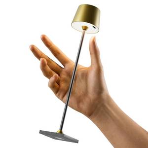 lot 6263 image: Timjorman Compact Cordless Table Lamp, Rechargeable LED Night Light, Dual Light Source (RGB Top & Warm Bottom), Touch Control & Timer, Metal Lamp for Bedroom & Kids Room (Antique Brass & Black)