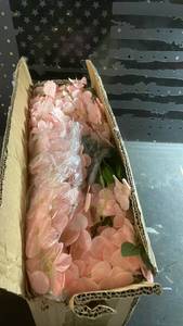 lot 11413 image: Artificial Light Pink Flowers 24 Pack Bulk Set