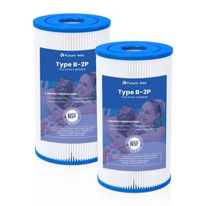 lot 11437 image: Future Way 2 Pack Type B Pool Filter Cartridge Replacement for Intex 29005E & 2500 GPH Pump, Fits Easy Set Above Ground Pools