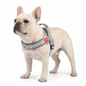 lot 12402 image: pangdi No Pull Dog Harness with Handle, Boston Terrier Adjustable Reflective Dog Vest, Breathable Air Mesh Padded Pet Harness with Front Leash Clip for Small Medium Dogs, Light Grey, M
