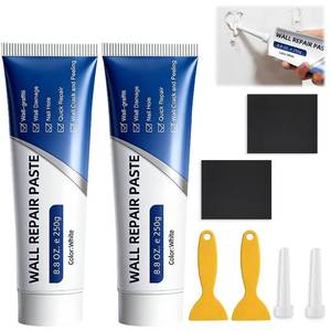 lot 14462 image: Drywall Repair Kit, 2 Pcs Spackle Wall Repair Kit, New Wall Crack Repair Paste, Wall Repair Paste Tube with ScraperSandpaper, Effective Repair of Scratches, Holes, Cracks and Wall Graffiti (2250g)