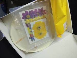 lot 18136 image: Pressed Flower Kit
