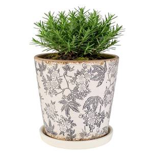 lot 19540 image: Ceramic Flower Pots For Indoor Plant, 5.5 Inch Small Ice Crack Plant Pots With Drainage Hole & Saucer, Decorative Vintage Planters For Succulent Herb Cactus Mint Basil, Garden Pot For Home Decor