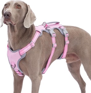 lot 18127 image: Pink and Gray Dog Harness with Leash Set