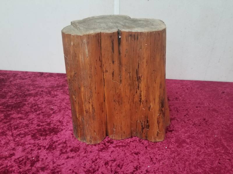 lot 7575 image: Petrified Stump