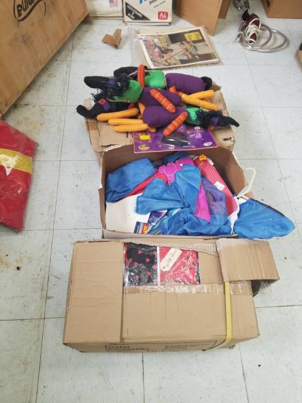 lot 7588 image: Valentines Gift Bags, Halloween Dcor and Kids Costumes