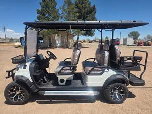 lot 5187 image: New Six Person Luxury Electric Golf Cart SDLGC100 (Assembly Required)