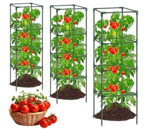 lot 57245 image: 6Pack Tomato Cages for Garden,Square Tomato Plant Cage Support Heavy Duty Pole 5715.415.4 Inches, Steel Plant Tower Stakes, Cherry Tomato Trellis Cucumber for Climbing Vegetables Flowers Fruits-Green - Retail $70