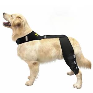 lot 19777 image: WENQUSEN Dog Knee Brace for Torn ACL Hind Leg - Professional Recovery Support, Patented Double Strap System & Flexible Splints Stabilize Joint, Promotes Healing & Mobility (XL) 65-110LB