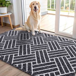 lot 44381 image: OLANLY Indoor Door Mat, 40x32 Inch, Dirt Resistant and Absorbent, Non-Slip Rubber Backing Floor Mats, Easy Clean Low-Profile Doormat for Entryway, Front Door, and Inside Entrance, Black - Retail $46