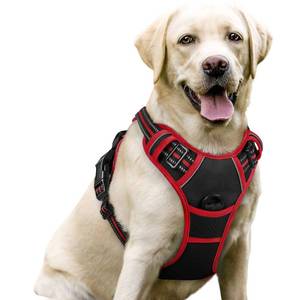 lot 31652 image: rabbitgoo Dog Harness No Pull with 2 Leash Clips, Adjustable Soft Padded, Reflective Oxford No Choke Pet Vest with Easy Control Handle for Large Dogs, Black & Red, L - Retail $27
