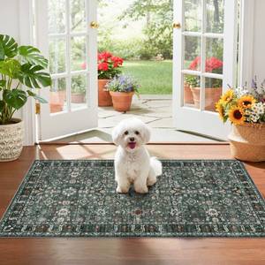 lot 45045 image: TOPRUUG Entryway 2x4 Runner Rug Washable Runners for Kitchen - Non-Slip Ultra-Thin Door Mat Indoor Entrance - Stain Resistant Small Throw Carpet for Bathroom (Dark Green Multi, 2X4) - Retail $26