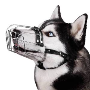 lot 29909 image: BRONZEDOG Dog Muzzle Adjustable Durable Metal Wire Basket for Large and Extra Large Dogs with Leather Straps Breathable, Drinkable, Training, Prevents Biting (Stainless Steel, Husky & Doberman) - Retail $34