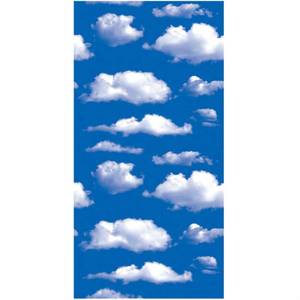 lot 29921 image: AINITAOCOM Decorative Blue Sky Contact Paper Peel and Stick Wallpaper for Walls Photo Background Kids Nursery Room Bedroom 17.7x78.7 Inches - Retail $10
