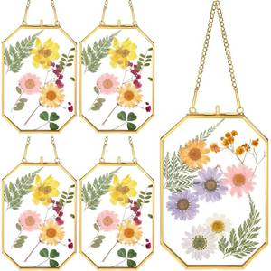 lot 22205 image: Treela 4 Pieces 4 x 6 Inch Glass Pressed Flower Frame, Hanging Double Glass Frames with Metal Chain Octagon Brass Tabletop Display for Dried Flowers Plant Picture Photo Artwork DIY Decor (Gold) - Retail $33