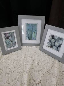 lot 19 image: Framed Succulent Plant Art Prints Set of 3