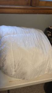 lot 1323 image: Queen Comforter EUC