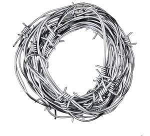 lot 62751 image: 4 Pcs 32.8 Foot Fake Barbed Wire Rusted Western Props Decor Plastic Faux Wire Wreath Ornaments for Cowboy Cowgirl Party (Silver) - Retail $19