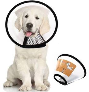 lot 72533 image: Plastic Pet Recovery Collars & Cones for Dogs and Cats After Surgery Adjustable Dog Neck Cone Surgical Elizabeth E-Collar Prevent Biting and Stop Licking Wound (L,12.9-14.9in) - Retail $13