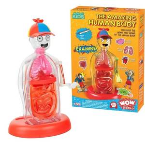 lot 72537 image: Wow in The World The Amazing Human Body Kit by Thames & Kosmos, Interactive Mechanical Anatomy Model wPumping Heart, Lungs, Digestive Tract, Glow-in-The-Dark Bones, Brain & More, Science for Ages 4 - Retail $25