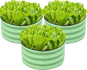lot 342087 image: SnugNiture 3 Pcs 2x2x1ft Round Galvanized Raised Garden Bed Kit Outdoor, Metal Planter Box for Planting Plants Vegetables, Green