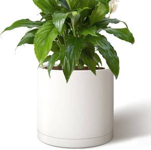 lot 251551 image: Giraffe Creation 14-Inch Round Cylinder Plant Pot, Modern IndoorOutdoor Planter with Drainage Hole, Saucer & Water Reservoir, White