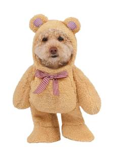 lot 93 image: Rubies Walking Teddy Bear Pet Costume for Dogs or Cats, Medium - Retail $7