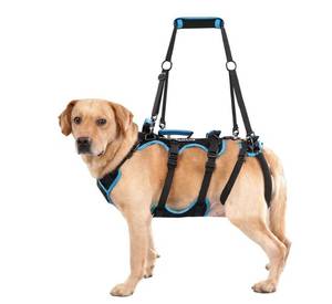 lot 5742 image: Dog Lift Harness for Large Male Dogs, 2-in-1, Back Leg Support & Mobility Assistance for Senior Dogs