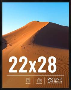 lot 4825 image: LaVie Home 22x28 Frame, Black, HD Plexiglas, VerticalHorizontal