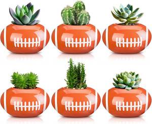 lot 607 image: 6 Pcs Football Theme Party Decorations Football Planter with Drainage for Sports Themed Party Favor Home Office Table Decorations