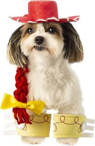 lot 6516 image: Toy Story Jessie Pet Costume Accessory Set for For Dogs or Cats by Rubies, SM