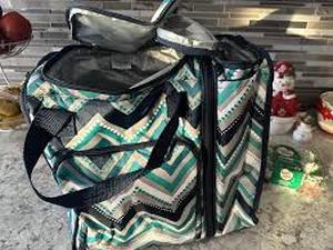 lot 20500 image: Thirty-One Gifts On the Double Cooler Bag