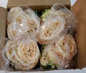lot 27268 image: 12in, 8 Bundles Artificial Peonies Flowers Fake Silk Peony Bouquet Faux Peonies Flowers Bulk for Decoration Vase Floral Arrangements Wedding Party Table (Bright Color) - Retail $29