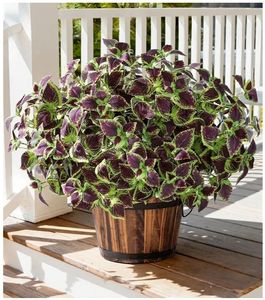 lot 27276 image: Artificial Greenery Plants Outdoor, 5 Pcs Faux Coleus Plants UV Resistant Silk Plants with Stems, Fake Plants for Outside Garden Patio Hanging Planter Pathway Front Porch Decoration(Brown) - Retail $27