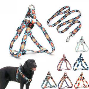 lot 42108 image: Dog Harness and Leash Set, Pretty Pattern No-Pull Pet Halter Puppy Vest Outdoor Easy Walk for Small Medium Large Breed Pug Bully Mastiff Dogs Female Male, Boho XL - Retail $18