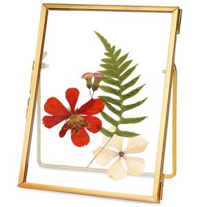 lot 45197 image: REDHUGO Glass Pressed Flower Frame Handmade, Floating Picture Frames for Pressed Flowers, Tabletop Artwork Photo Frames, Brass Desk Picture Frame for Home Office Plant Specimen, Gold, 4x6 Inches - Retail $14