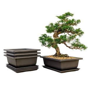 lot 45257 image: Bonsai Outlet Training Pots with Humidity Trays - Built in Mesh, Brown 8-Inch Large Planters  Made from Durable Shatter Proof Poly-Resin, Set of 3 Pot Set - Retail $19