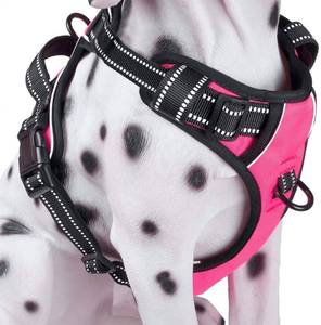 lot 22327 image: PoyPet No Pull Dog Harness, Reflective Comfortable Vest Harness with Front & Back 2 Leash Attachments and Easy Control Handle Adjustable Soft Padded Pet Vest for Small to Large Dogs (Pink,XS) - Retail $18
