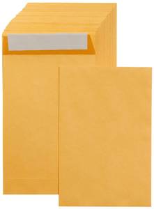 lot 45344 image: Amazon Basics Self Seal Catalog Mailing Envelopes for Documents, Peel and Seal, 6 x 9, Brown Kraft, 250-Pack - Retail $27