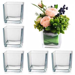 lot 62047 image: Set of 6 Square Glass Vases for Centerpieces 5in x 5in x 5in Clear Short Flower Vase, Plant Terrariums, or Candle Holders for Wedding Centerpieces, Office Decor, Home Decor, Parties - Retail $38